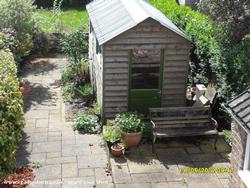 overview of shed of shed - The Tardis, East Sussex