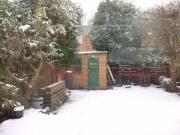 Daves Shed, 