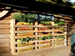 Pallet herb garden on back Wall of shed - Allotment Roof Shed, City of London