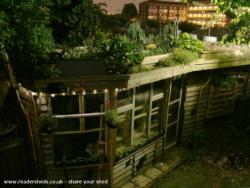 Photo 13 of shed - Allotment Roof Shed, City of London