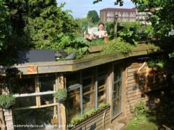 Photo 16 of shed - Allotment Roof Shed, City of London