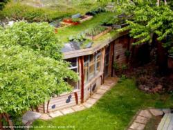 Summer Front View with Allotment Roof of shed - Allotment Roof Shed, City of London