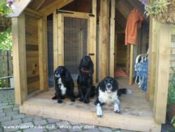 Jake. (With guests!) of shed - Jake's Camomile House, North Somerset