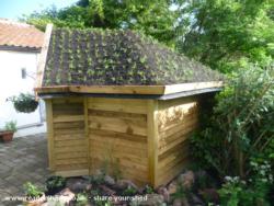 The planting completed! of shed - Jake's Camomile House, North Somerset