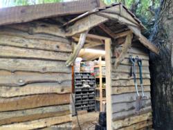 still no door of shed - Pallet Shed Extension with Waney edge cladding, City of London