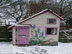 Photo 4 of shed - Cat's house, Hertfordshire