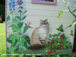 Photo 9 of shed - Cat's house, Hertfordshire