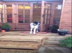 Front entrance with doorman of shed - The Paleo Bar, Caerphilly