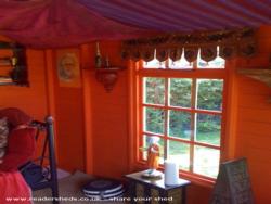 Looking outside of shed - My Caribbean Moroccan Retreat, Shropshire