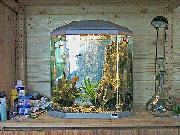 Dog House: New Aquarium added (how to get a tank into a shed)