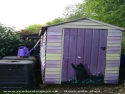Photo 2 of shed - Zhanna Pecugina, Hertfordshire