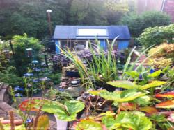 The garden in Autumn of shed - The Blue Shed, Durham