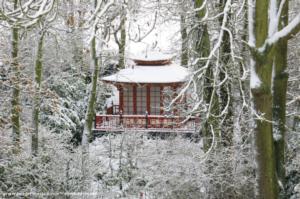 Photo 13 of shed - Japanese Tea House, Essex