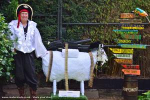 Goat Gate Gardian of shed - Pirate Retreat, Surrey