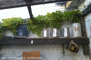Home-grown hops and charity shop finds! of shed - Moville Anti-social Club, Donegal