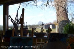 Photo 6 of shed - Shedio, Essex