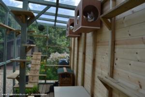 Photo 2 of shed - The Catio Shed, Cheshire East