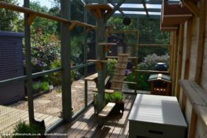 Photo 3 of shed - The Catio Shed, Cheshire East