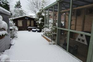 Photo 4 of shed - The Catio Shed, Cheshire East