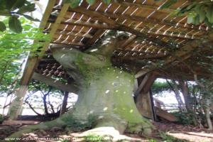 Photo 32 of shed - Uplands Tree House, North Somerset