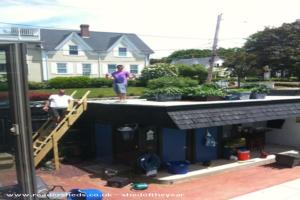 Rooftop Pepper Garden of shed - Club Red, Massachusetts