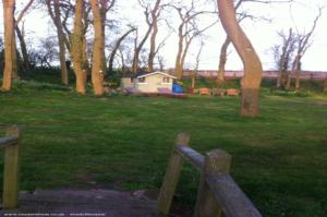 Woodland location of shed - Sharon's Sanctuary, Shropshire