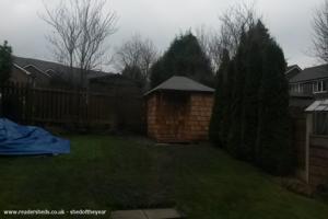 Photo 3 of shed - log cabin inspired man cave, Derbyshire