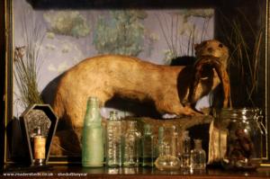 Otter and Bad poison of shed - A Night At The Museum, Norfolk