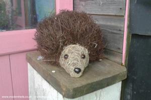Photo 6 of shed - Pricklebums Hedgehog Rescue, Shropshire