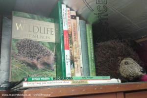 Photo 13 of shed - Pricklebums Hedgehog Rescue, Shropshire