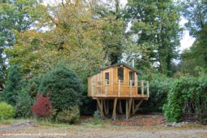 Autumn of shed - Craigie Tree Lodge, Renfrewshire