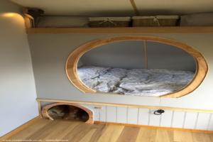 Photo 4 of shed - The Shire Pod , Bedford