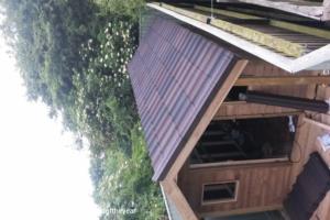 Roof of shed - The Man Cave, Lincolnshire