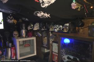 Skullcap of shed - Skull lounge , North Yorkshire
