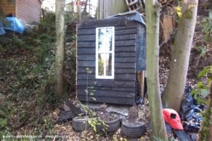 Main exterior picture from across stream of shed - Mini eco-cabin in the woods, Kent