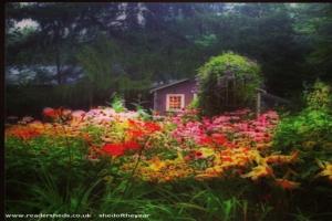 Photo 2 of shed - Selma Pond's , Massachusetts