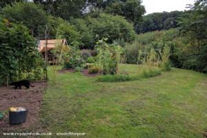 General situation of shed - Safari on the cheap, Shropshire