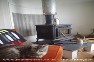 Hal the cat enjoying the heat of shed - Artshed, Devon