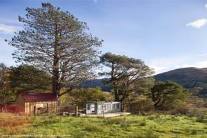 View of setting and trees of shed - The Ferry Bothy, Stirling