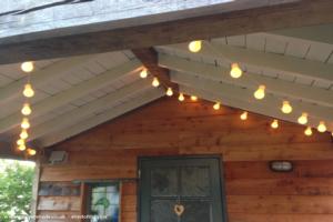 Festoon Lights in the canopy of shed - Our Shed , Devon