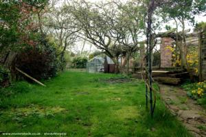 The garden before the workshop of shed - 18A - The Workshop, Cheshire East