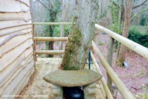 Photo 9 of shed - Zipline treehouse shed , East Sussex