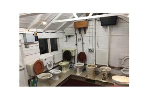 Inside the shed of shed - The toilet shed, Denbighshire