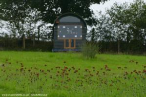 Front View of shed - The Hut, Carmarthenshire