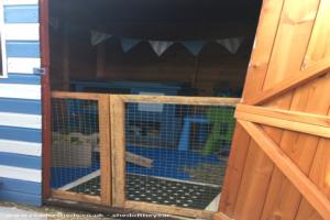 Inside the guinea pigs home of shed - Summer memories, Suffolk