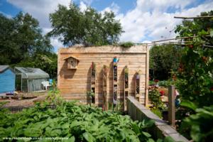 Photo 3 of shed - Allotment recycled pallet eco shed, Lancashire