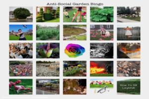 My Anti-Social Garden Bingo Sheet of shed - A Bad Situation (as in Making The Best Of...), Glasgow