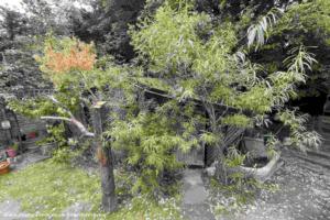 Photo 6 of shed - Bedouin Tree Shed, Greater London