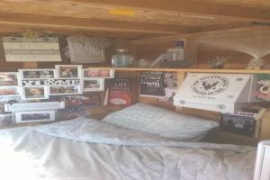comfy bed of shed - Space Oddity, Durham
