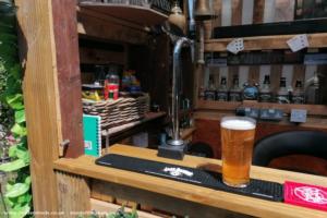 Draught Beer of shed - The Lockdown Arms, Hampshire